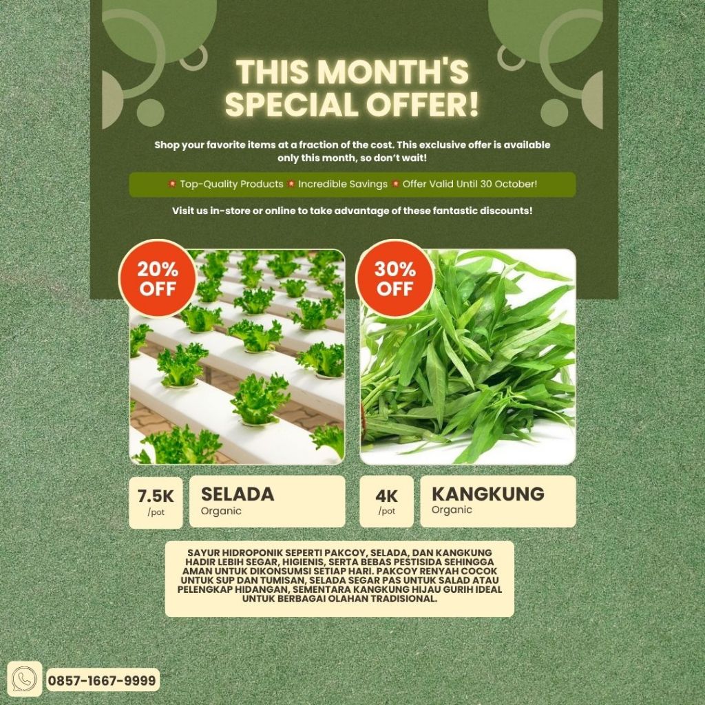 Sayuran Hidroponik | Hidroponik Kangkung Segar