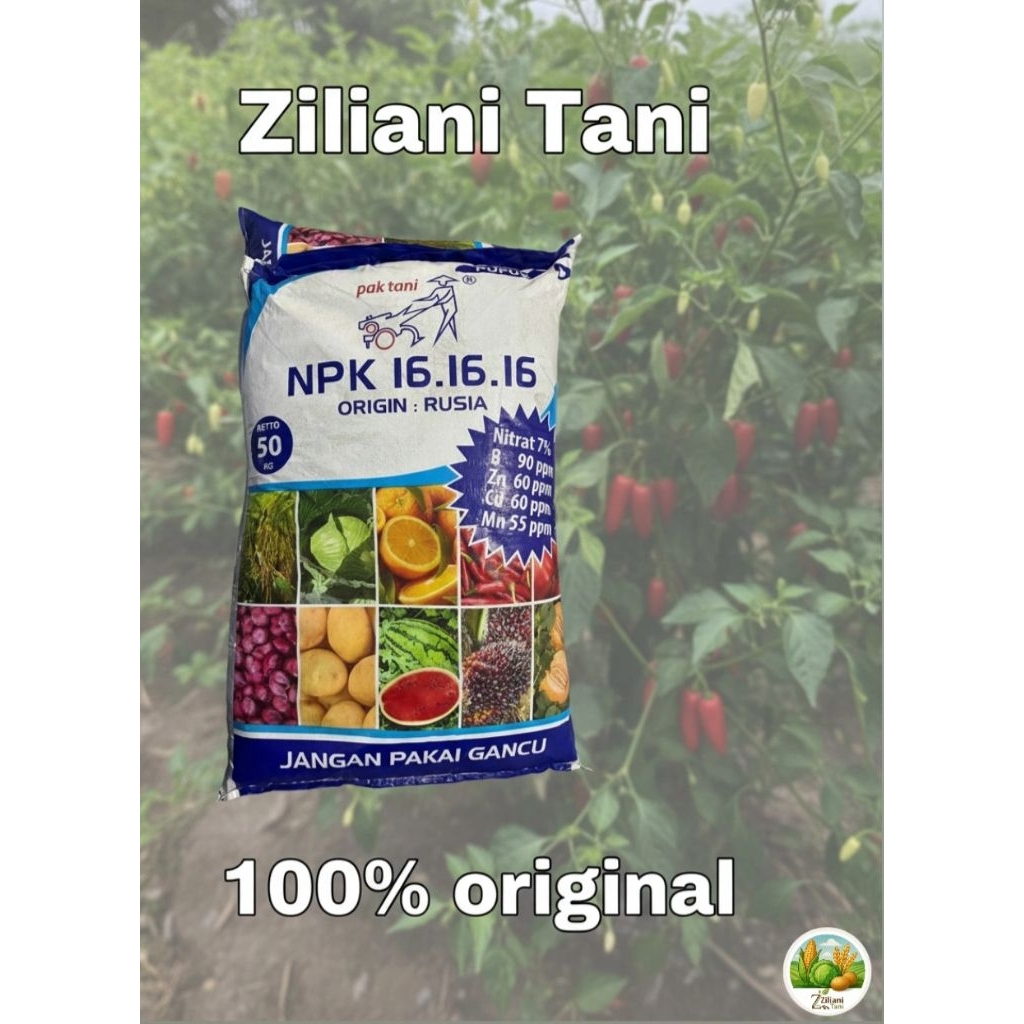 NPK Pak Tani 16.16.16 Origin Rusia 50kg