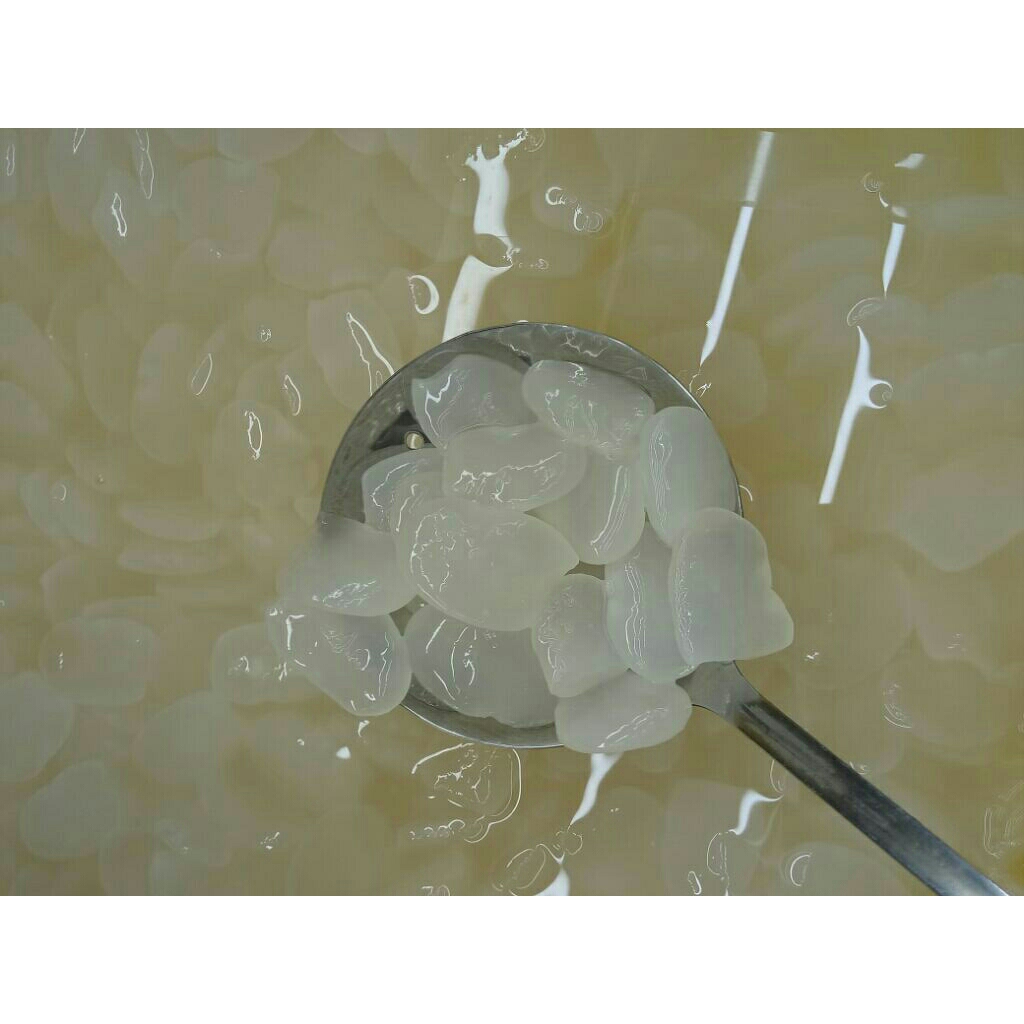 kolang kaling mentah 1kg / kolang kaling segar fresh