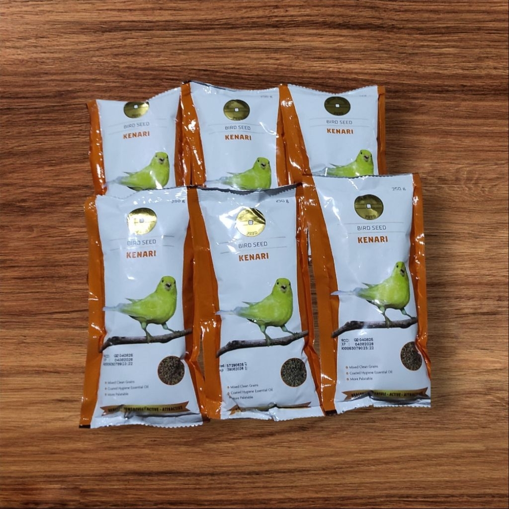 GOLD COIN KENARI. gold coin kenari