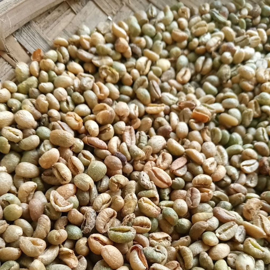 Kopi mentah menoreh robusta