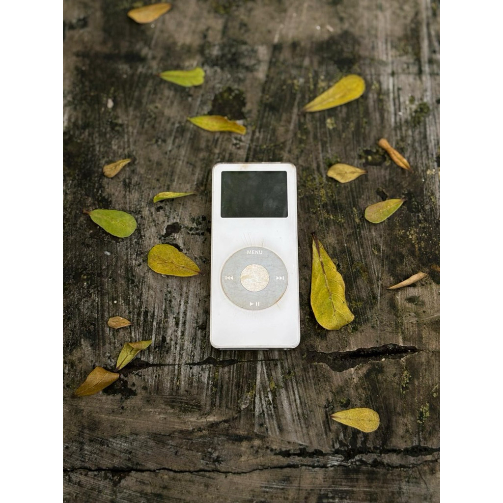 Ipod Nano 1st Gen