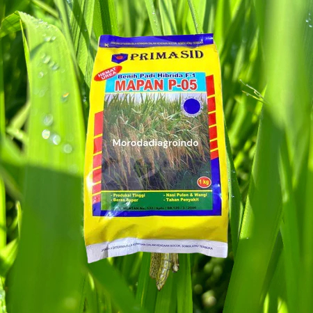 BIBIT PADI UNGGUL MAPAN F1 MAPAN F-05