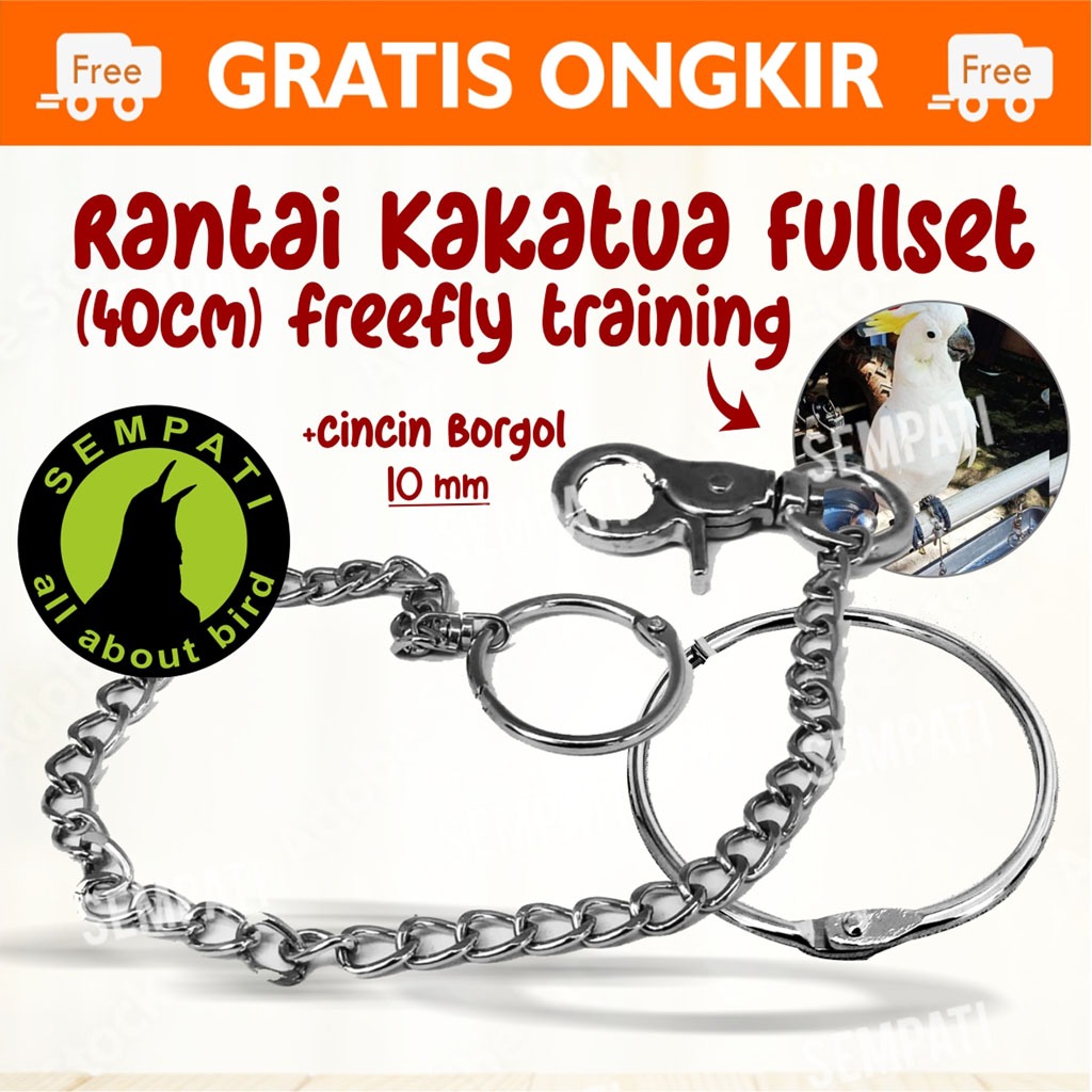 SEMPATI RANTAI KAKI KAKATUA MEDIUM FULLSET GELANG RING BORGOL 10 MM FREE FLAYING FF RANTAI GELANG KA