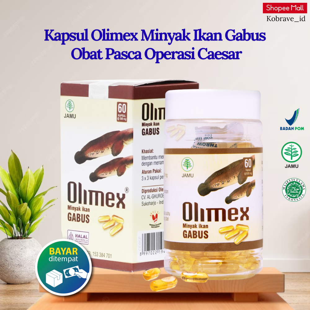 Olimex Kapsul Minyak Ikan Gabus Penyembuh Luka Olimex Kapsul Minyak Ikan Gabus Asli Original