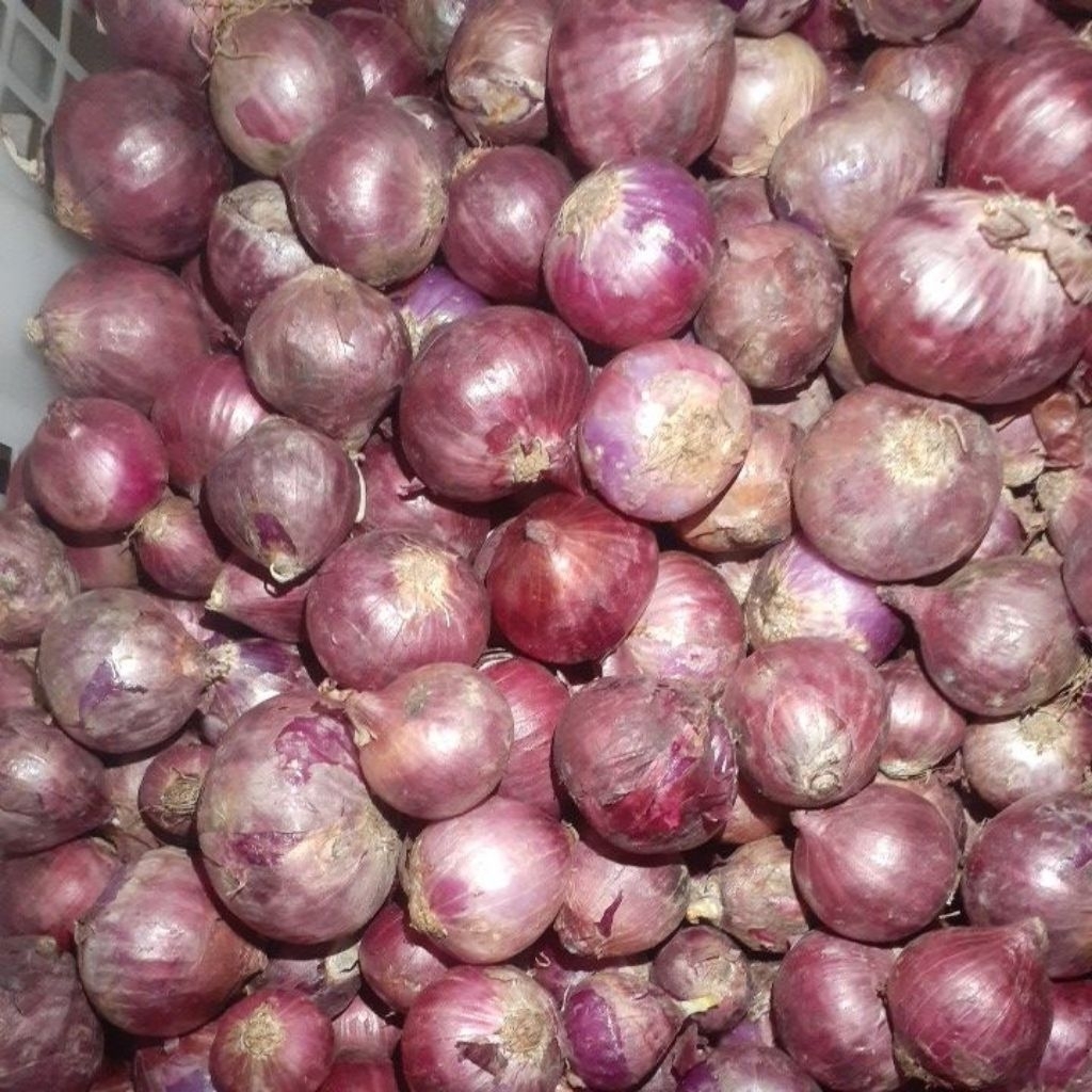 Bawang Merah India    1 kg
