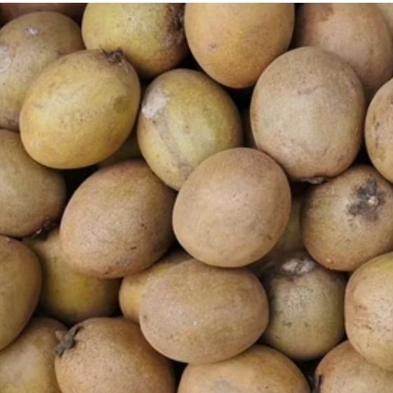 SAWO MADU Sawo Manis Fresh 1kg