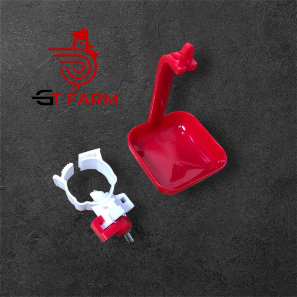 nipel ayam petelur grade A