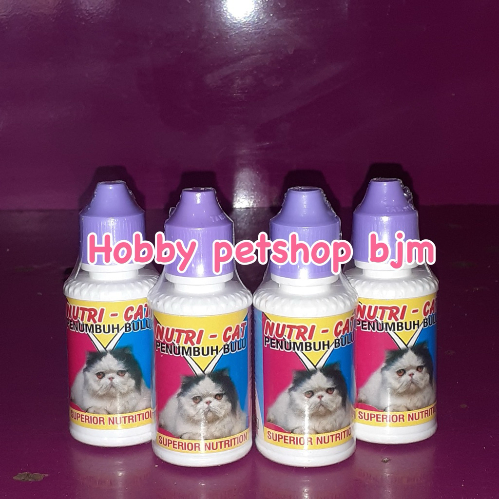 nutri cat - penumbuh bulu kucing nutri-cat kucing obat bulu kucing pitak botak