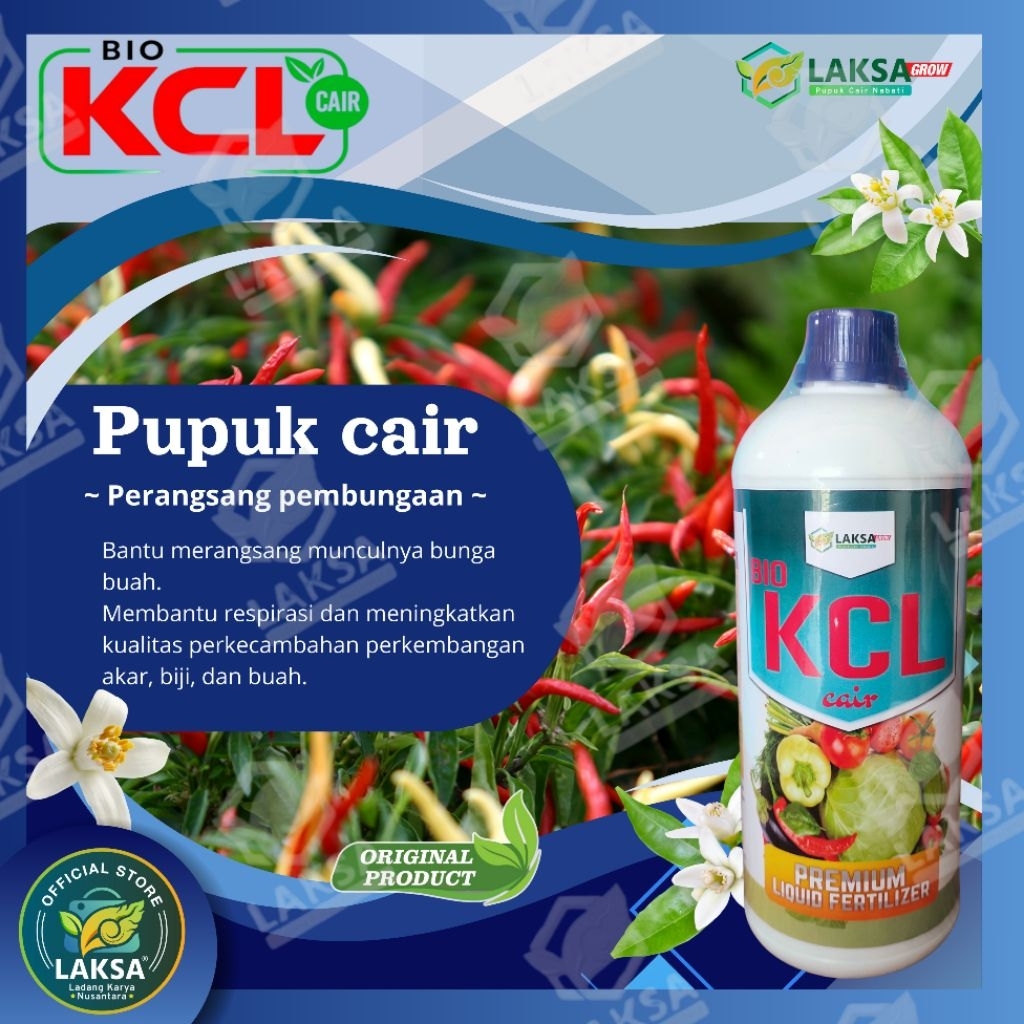 Pupuk KCL - fase pembungaan untuk tanaman Cabe