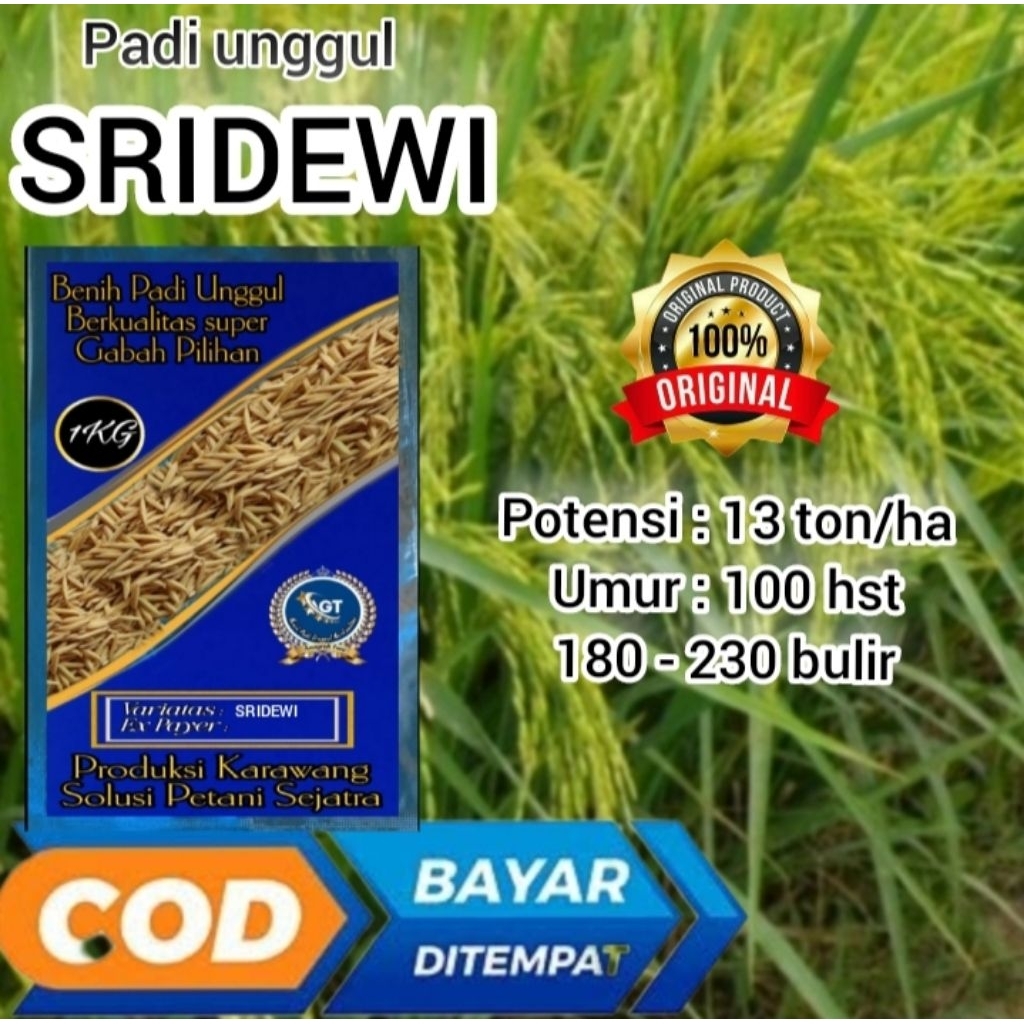 benih padi hibrida intani 602 / sridewi kemasan 1kg