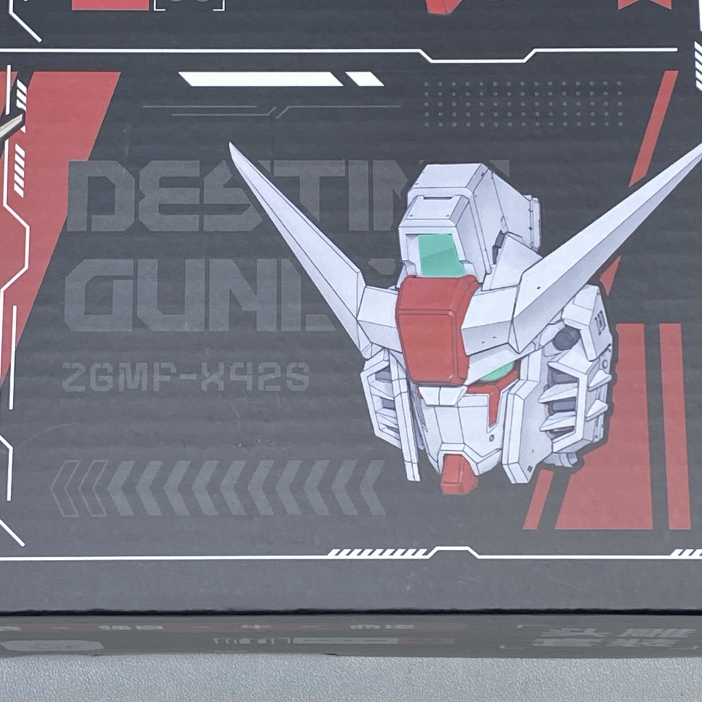 Zeroplan MG 1:100 Gundam Head Destiny