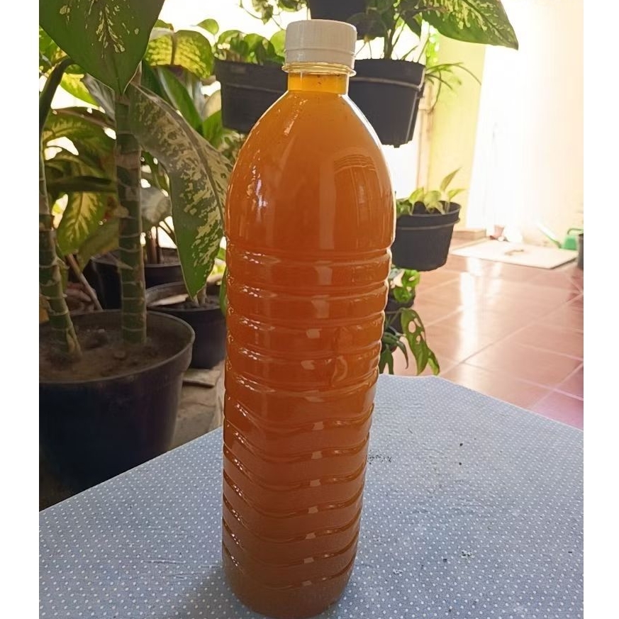 Jamu sinom asli herbal 1500 ml