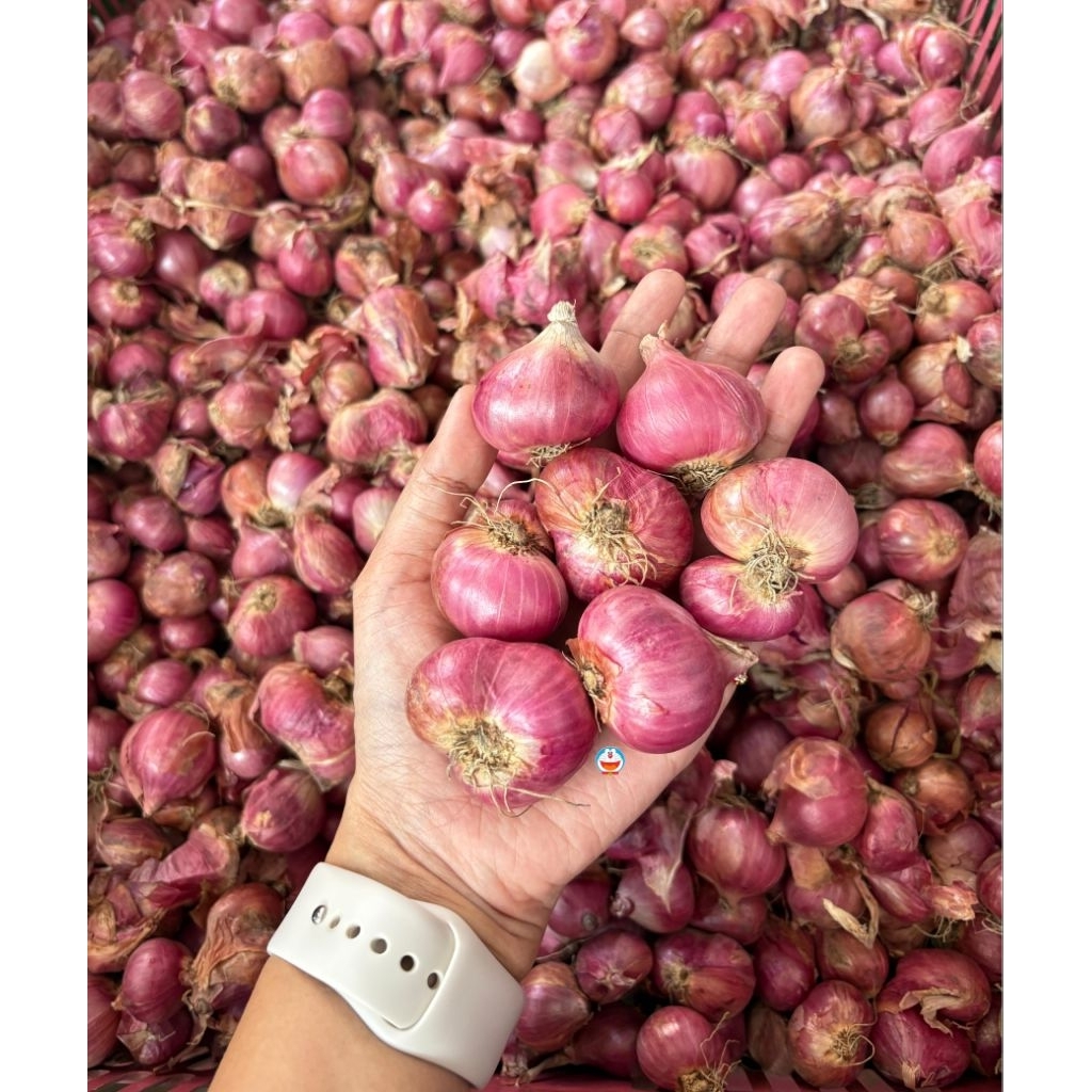 BAWANG MERAH 1 KG