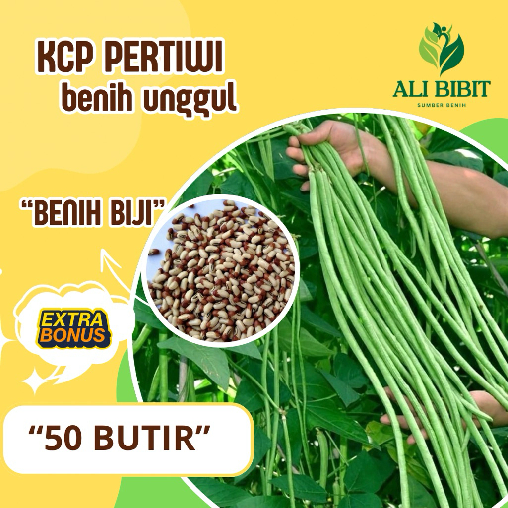 50 Butir > Benih Kacang Panjang Pertiwi > Bibit Kacang Panjang Biji