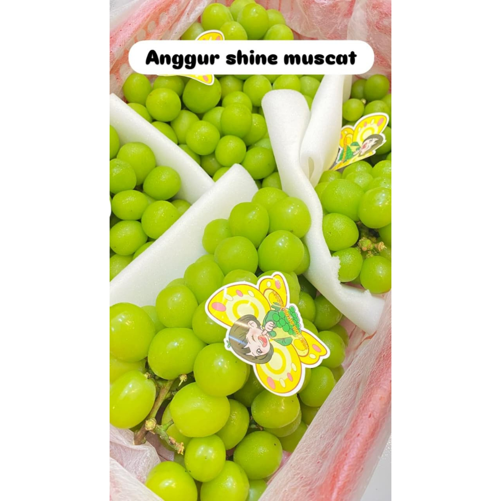 Anggur Shine Muscat Curah Raja Buah
