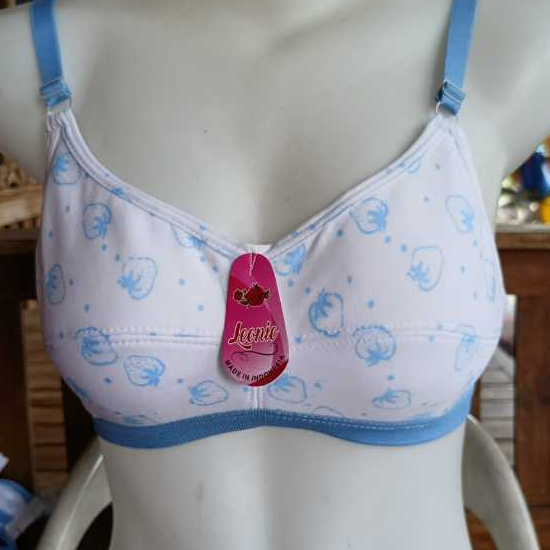 BH/BRA ANAK SD/SMP BH MURAH PRINTING STROBERY