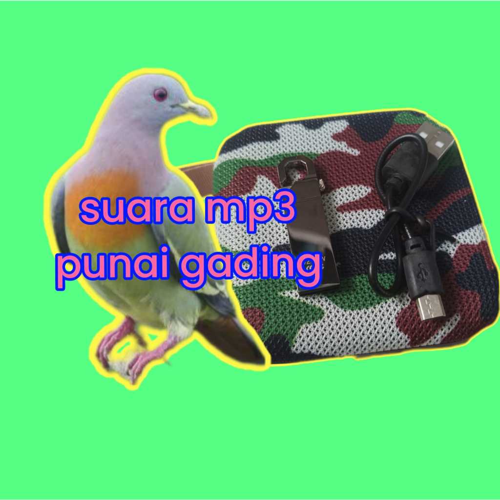 mp3 + flashdisk suara burung punai tekukur sepah burung uncal delimukan punai tanah jernih ampuh pik