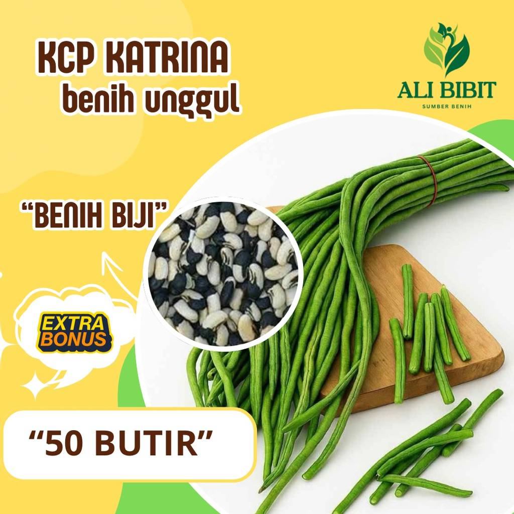 50 Butir > Benih Kacang Panjang katrina> Bibit Kacang Panjang Biji