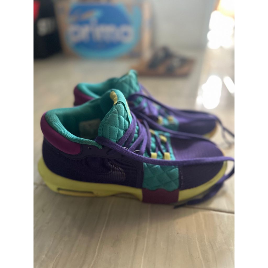 Jual Murah Sepatu Bekas Basket Nike Lebron Witness VIII EP FB2237-500 Original