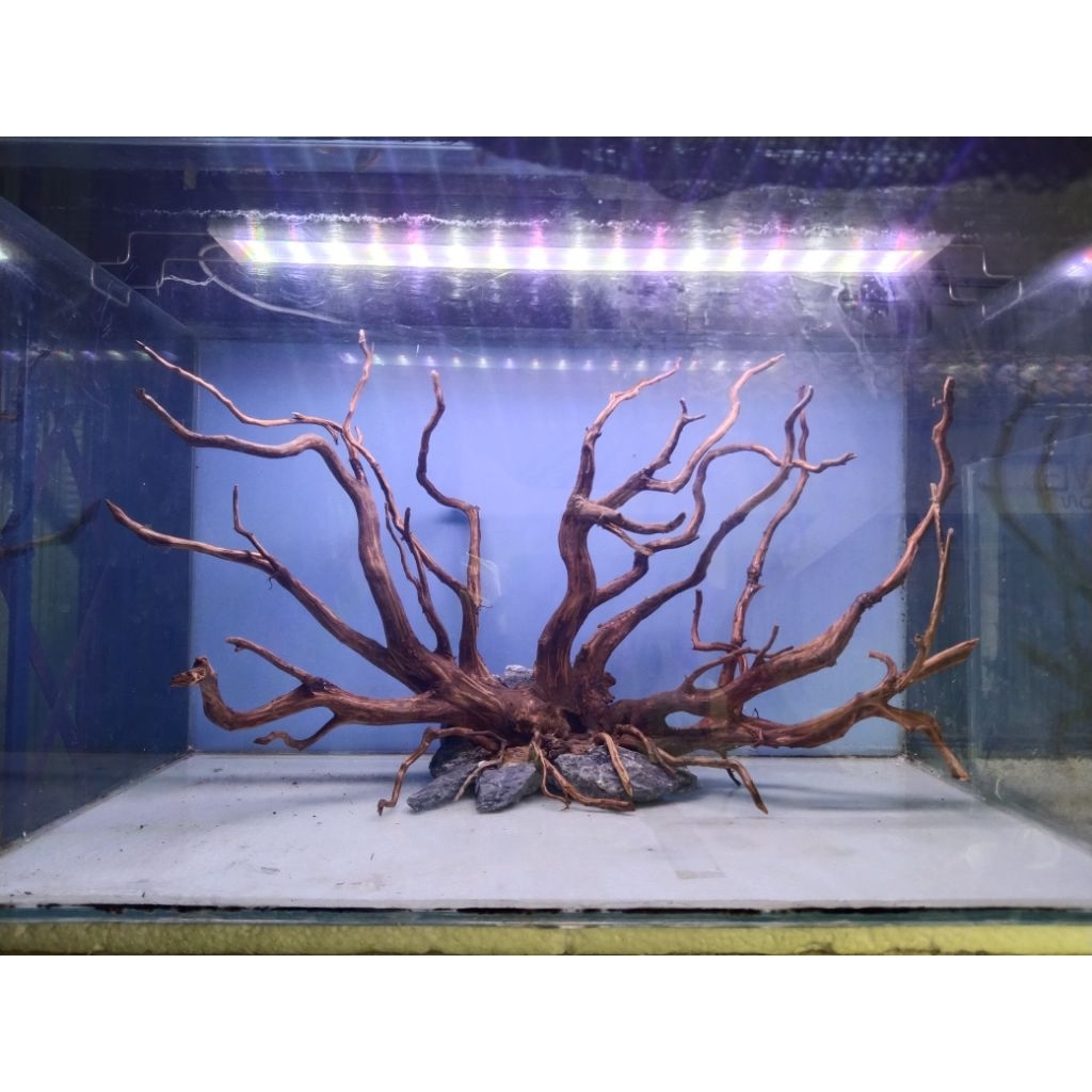 Hardscape Aquascape