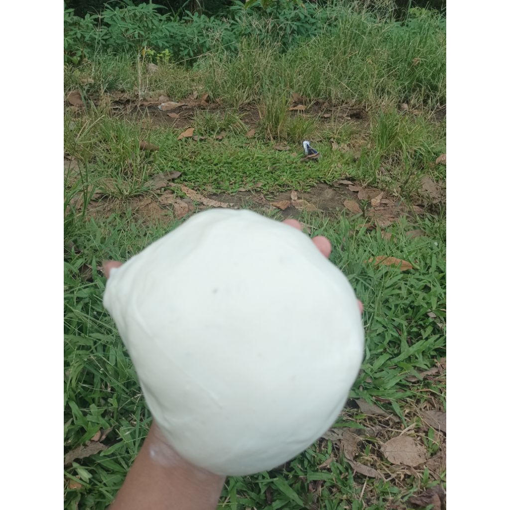 getah lem pulut burung 1ons