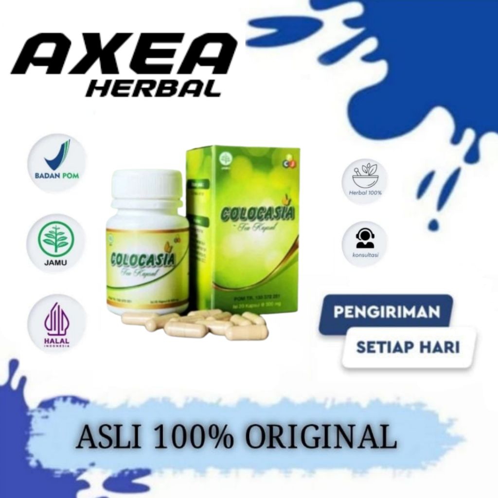 Obat Colocasia Asli GARANSI Meredakan Nyeri Tulang Nyeri Sendi dan Lutut Colocasia Tea Kapsul Terlar