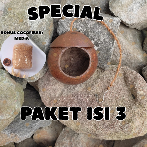 PAKET GLODOK ISI 3 FREE COCOFIBER - GLODOK BATOK KELAPA SARANG LOVE BIRD - RUMAH  BURUNG KECIL
