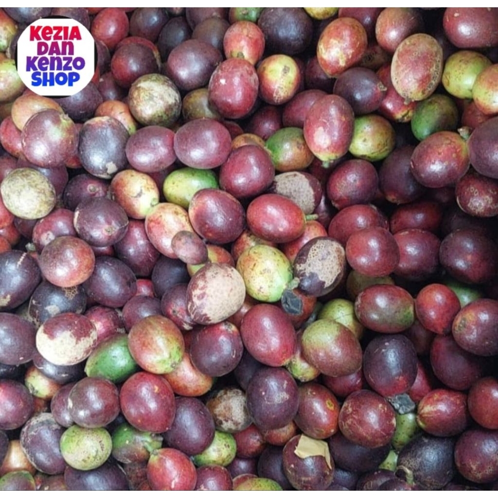 buah matoa 1kg murah meriah