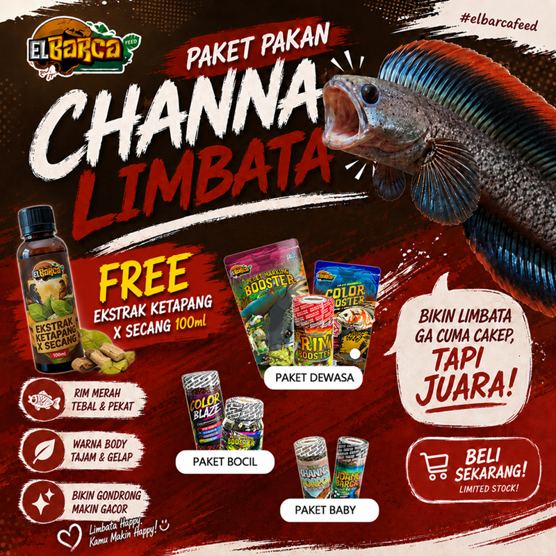PAKET PAKAN CHANNA LIMBATA pakan PROGRESS Rim Merah Tebal, Sirip fin Kebiruan+Free Sticker Channa