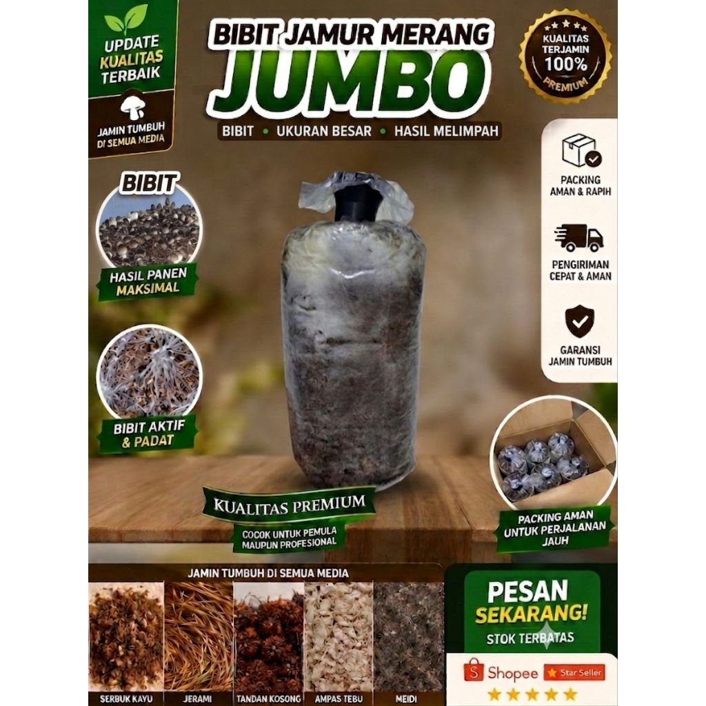 bibit jamur merang 1kg  siap tanama semi&putih