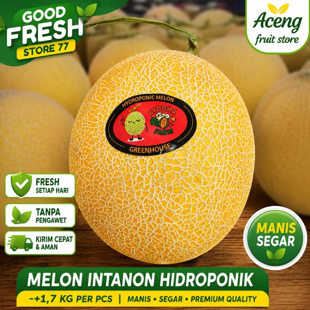 Melon Intanon hidroponik super melon utuh manis segar -+1,7 kg