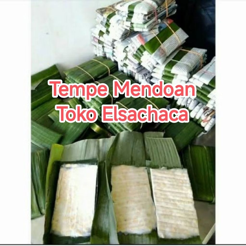 TEMPE MENDOAN MENTAH