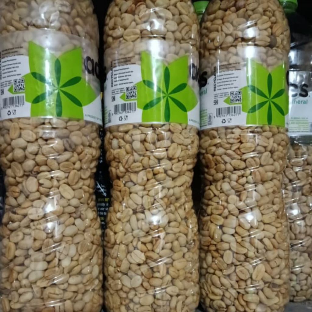 Kopi luwak liar