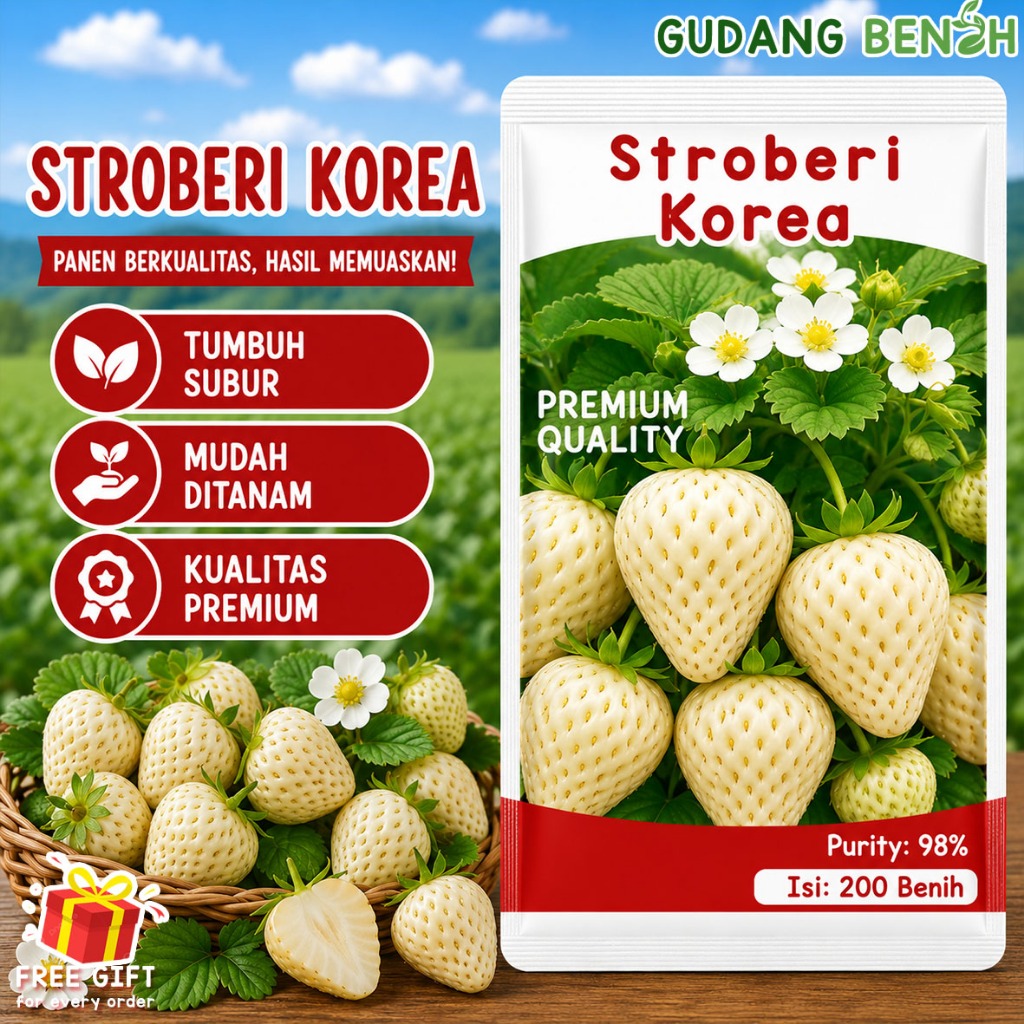 Benih Biji Stroberi Korea King Strawberry Jumbo Manis Isi 200 - Bibit Stroberi Putih Isi 200 Biji