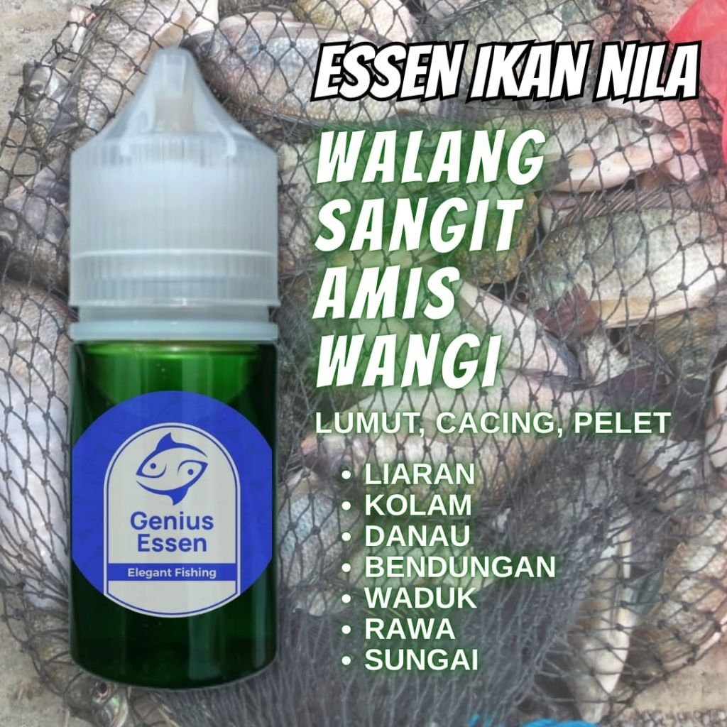 Essen ikan nila aroma walangsangit amis wangi essen ikan nila liaran essen ikan nila bendungan essen