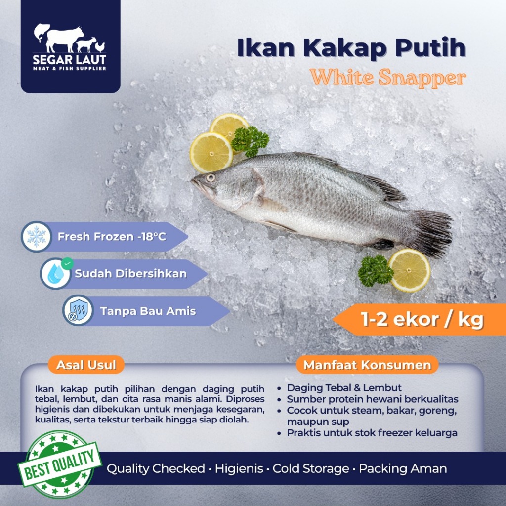 IKAN KAKAP PUTIH | BARRMUNDI | SEABASS | FRESH