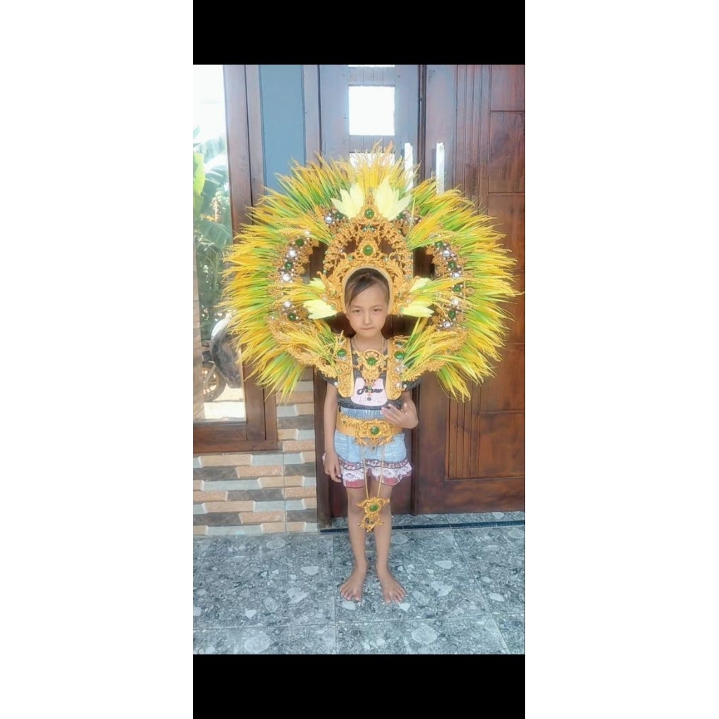 MASKOT KARNAVAL ANAK MASKOT PADI
