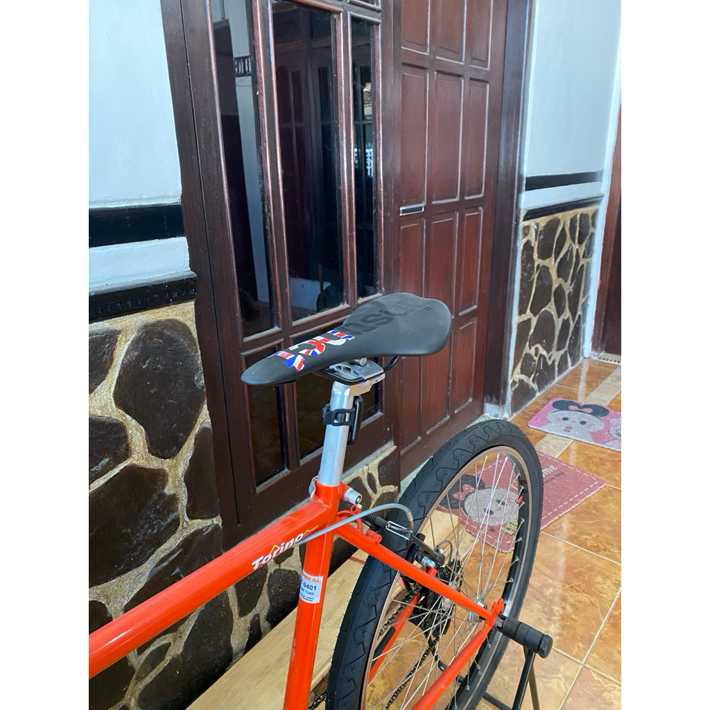 full bike federal torino