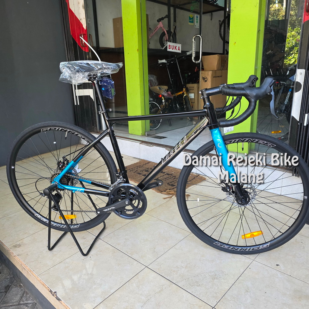 Roadbike Element Curved LT 16 speed Discbrake