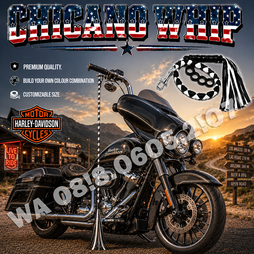 Mexican Style Harley Davidson Whip Custom Bagger Cholo Look