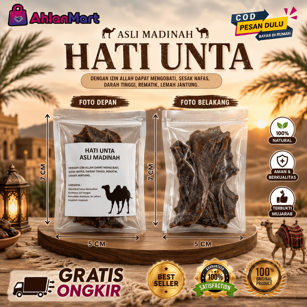 Hati Unta Onta Asli Arab Madinah