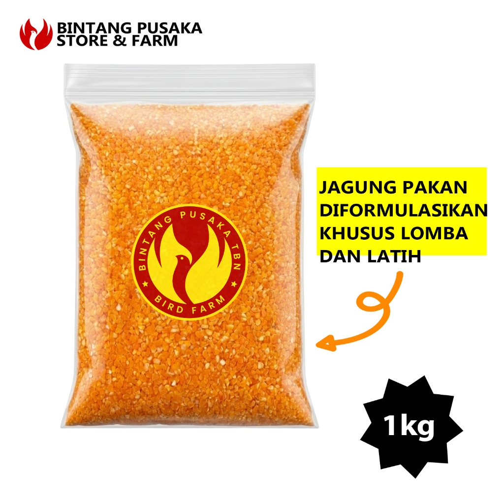 Jagung Pakan Khusus Formulasi Lomba Merpati Balap Kolong Tinggi