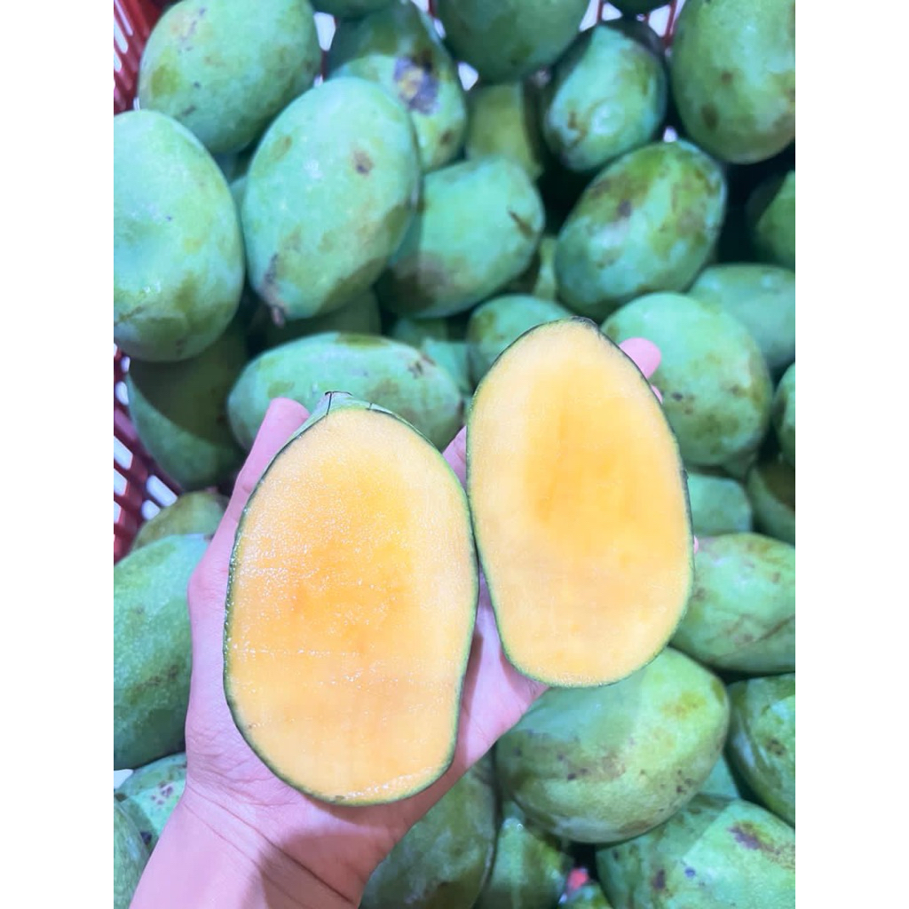 MANGGA MADU MANALAGI 1kg