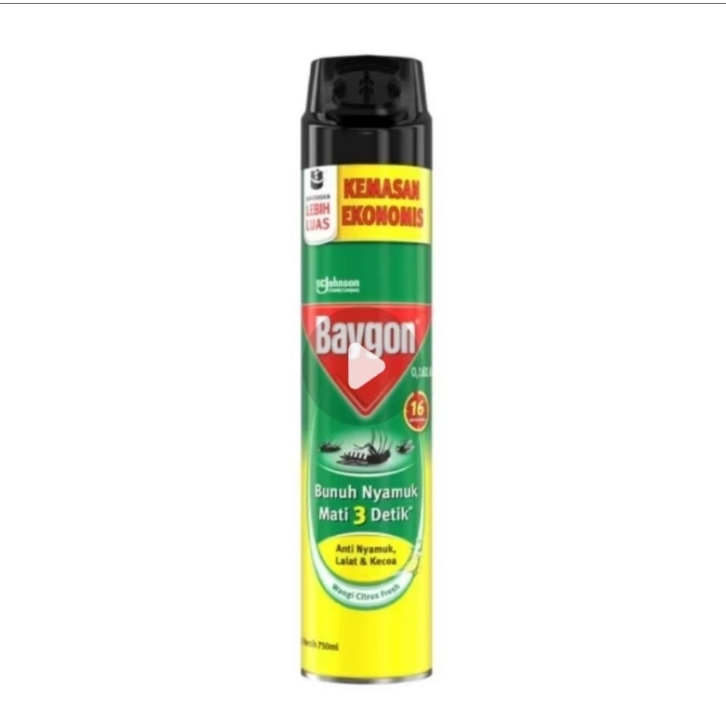 Baygon aerosol 750 Ml