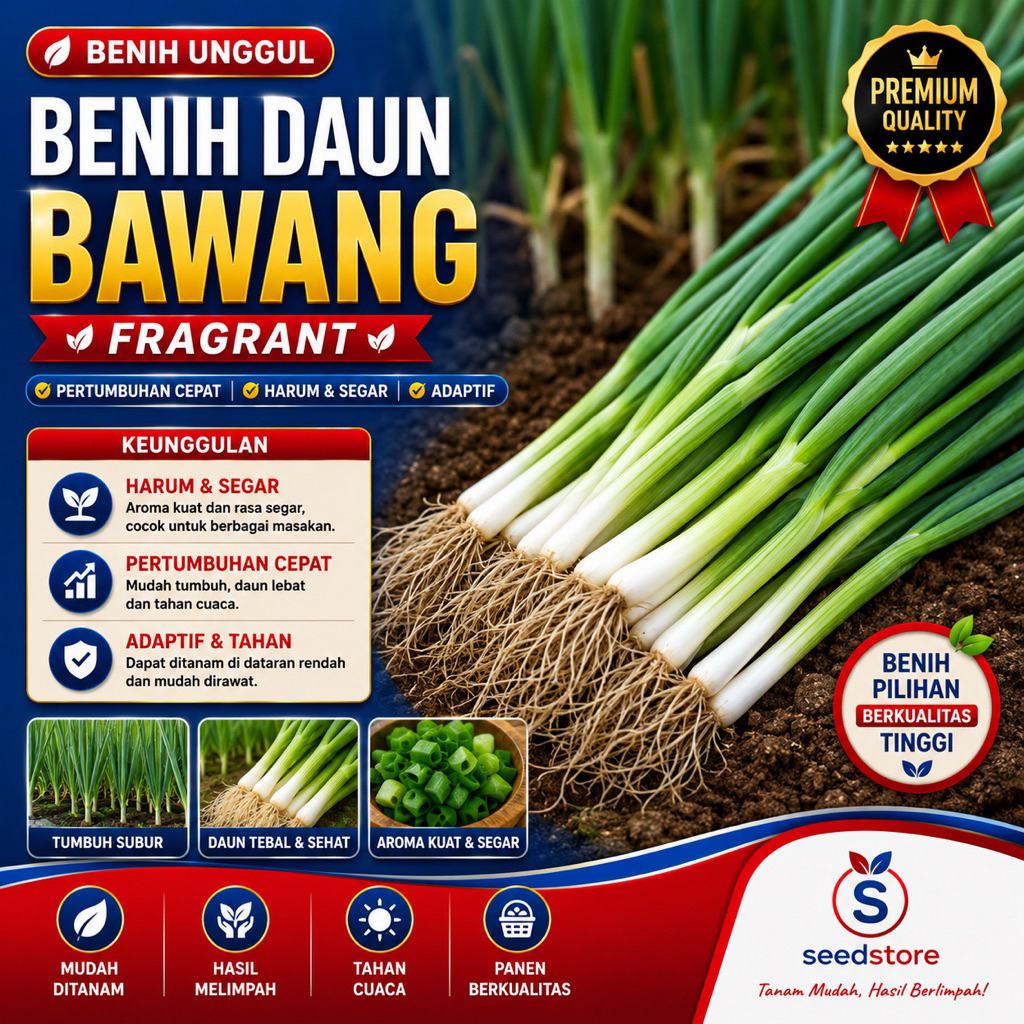 10 Biji - Benih Daun Bawang FRAGRANT dataran rendah