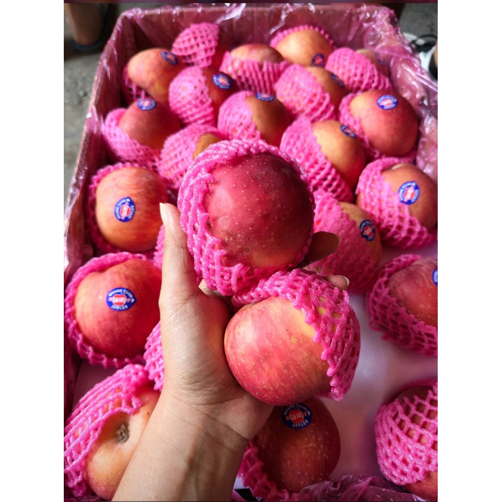 APEL FUJI PROMO MURAH BANGET 1KG//APEL FUJI 1KG MANIS//APEL FUJI PROMO