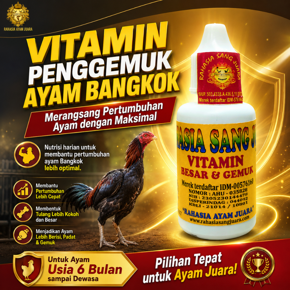 PENGGEMUK AYAM BANGKOK OBAT PENGGEMUK AYAM CEPAT BESAR DAN GEMUK UMUR 6 BULAN SAMPAI DEWASA