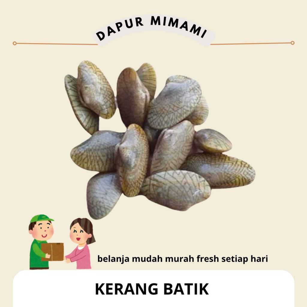 Kerang Batik Fresh Segar - Kerang Batik Laut Bersih