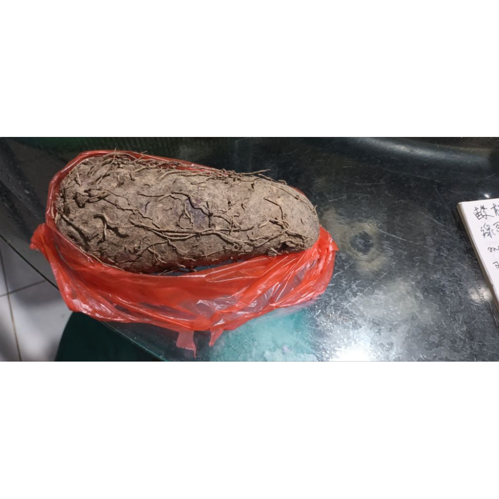 talas ungu kalimantan